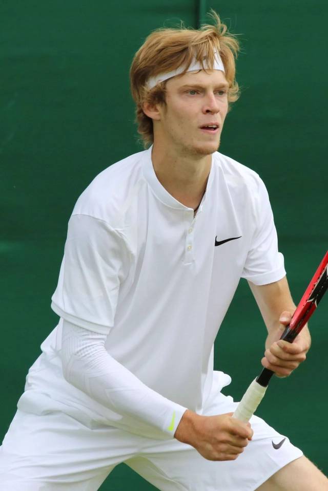 木的配合 木的配合