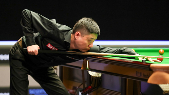 提供的政策 提供的政策